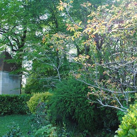 Domaine De Plisseau Bed and Breakfast Gauriac Buitenkant foto