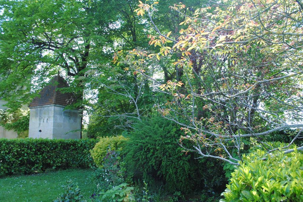 Domaine De Plisseau Bed and Breakfast Gauriac Buitenkant foto