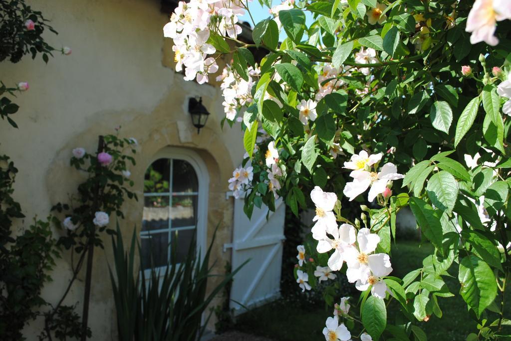 Domaine De Plisseau Bed and Breakfast Gauriac Buitenkant foto